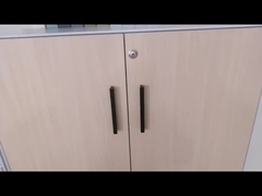 Slim Edge 5mm Swing Door Cabinet Double Layers Plate Steel Office Cabinet